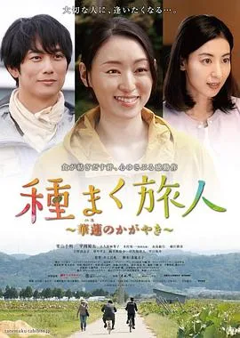 播种的旅人:华莲的光辉