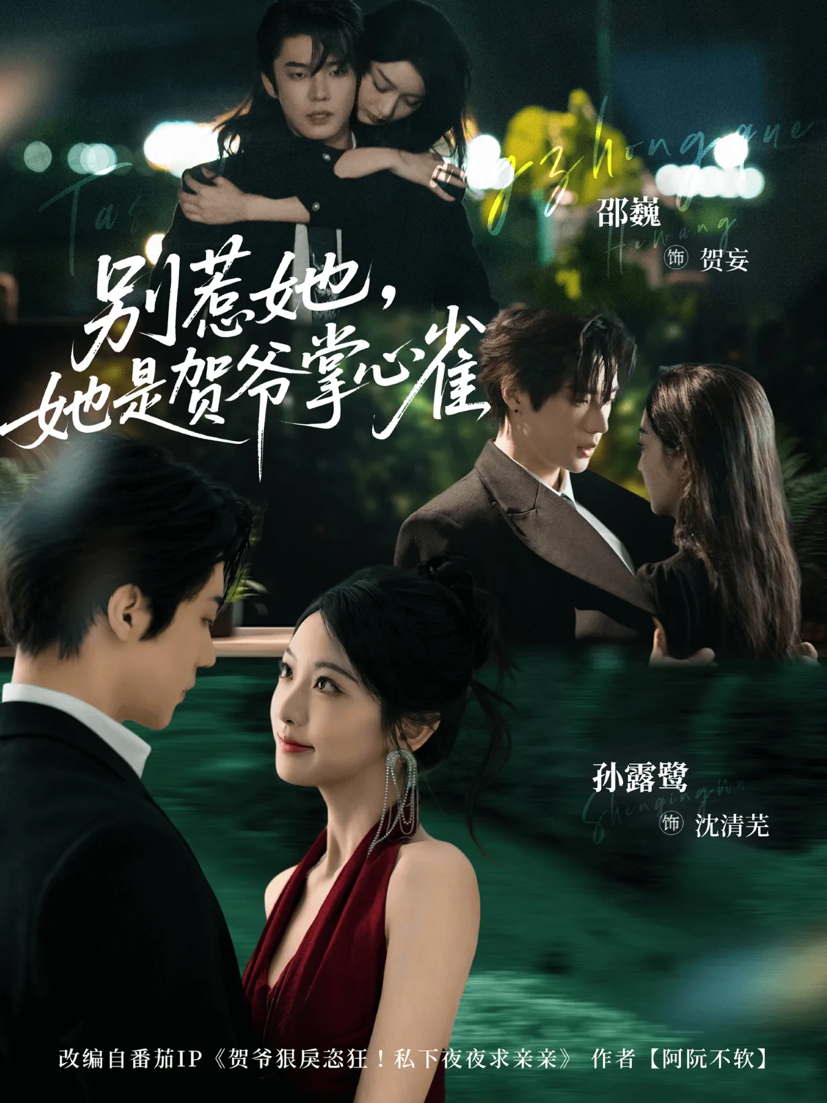 别惹她，她是贺爷掌心雀